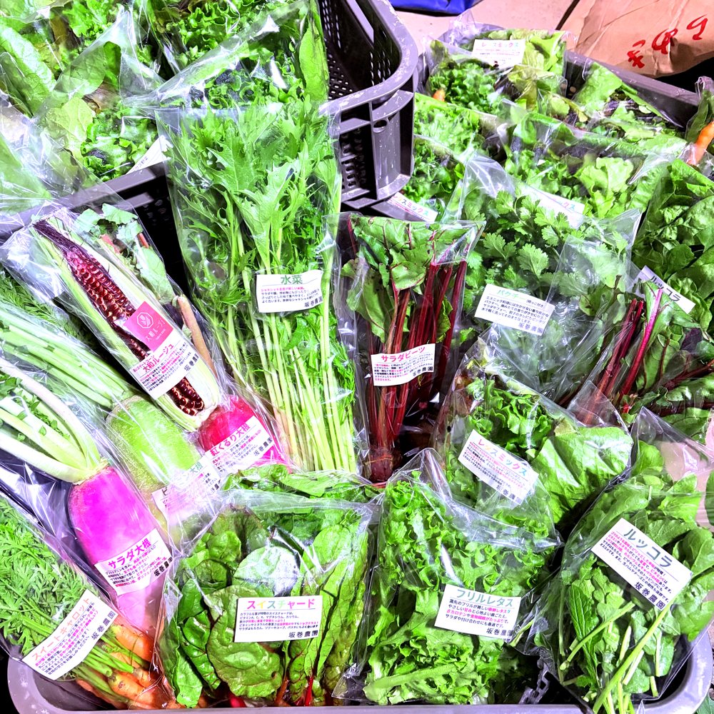 坂巻農園の季節の野菜
